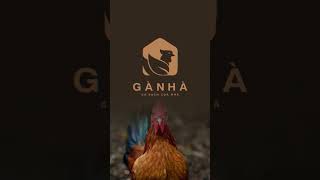 Thiết Kế Logo 🏡 GÀ NHÀ 🐓 DBZDesignVietNam thietkelogo logo design [upl. by Niryt]