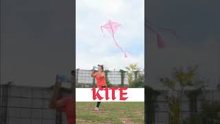 How Do Kites Fly  The Science Behind Kite Flying shorts [upl. by Euf331]