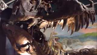 The Dudley Museum and Art Gallery Dinosaurs [upl. by Bensen]