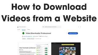 How to Download Videos from Any Website for Free  Video Downloader Professional Tutorial [upl. by Munford674]