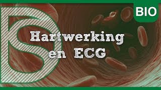 Examens Biologie  Hartwerking en ECG Bloedsomloop [upl. by Azile]