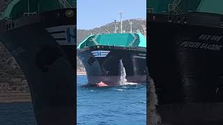 😱 LNG SHIP DROP ANCHOR AT Gibraltar STREET seaman ship [upl. by Ardnait]