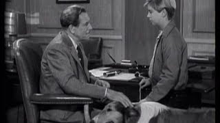 Lassie  Episode 51  quotThe Journeyquot  Season 2 Ep 25 02261956 [upl. by Jules545]