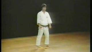 Bassai Sho  Shotokan Karate [upl. by Oremodlab9]