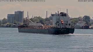 Algoma Innovator passing Port Huron on Sept 10th 2024 [upl. by Hilbert816]