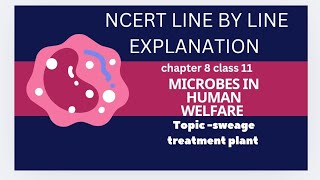 sewage treatment plant part 3  microbes in human welfare NCERT LINE BY LINE EXPLANATION [upl. by Eisoj931]