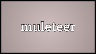 Muleteer Meaning [upl. by Yetsirhc]