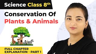 Class 8 Science Chapter 7  Conservation Of Plants And Animals Full Chapter Explanation Part 1 [upl. by Brennan]