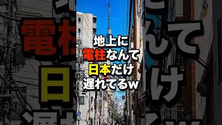 「日本は遅れてる！」フランス人が日本の電柱の存在理由を知った結果…海外の反応 [upl. by Robbin]