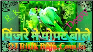 Pinjare Me Popat Bole Remix By DJ Ritik RajaComin [upl. by Forbes]