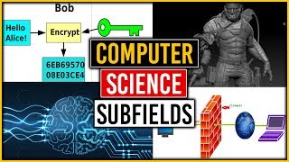 Computer Science Careers and Subfields [upl. by Eduam175]