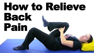 Back Pain Relief Exercises amp Stretches  Ask Doctor Jo [upl. by Iak]