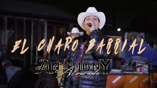 Chapo BarrialAnthony AlvaradoEn Vivo2024 [upl. by Ahsenod]