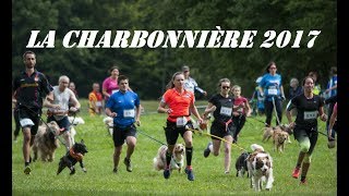 Canicross La Charbonnière Départ amp arrivée Slowmotion 2017 [upl. by Sorce314]