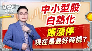 蘇威元分析師【中小型股白熱化 賺漲停現在是最好時機？】 20240923 蘇威元 飆股元動力 [upl. by Fanechka]