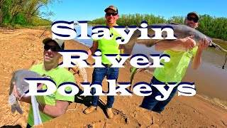 jared slayin river donkeys [upl. by Yhtommit]