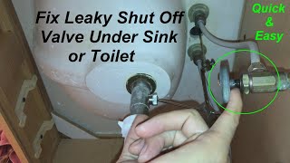 How to Fix a Leaking Water Shut Off Valve Under a Sink or Toilet Quick amp Easy Repair [upl. by Norvan983]