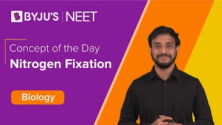 Nitrogen Fixation Mineral Nutrition  Class 11 Biology Chapter 12  NEET 2022 Exam  BYJUS NEET [upl. by Nair]