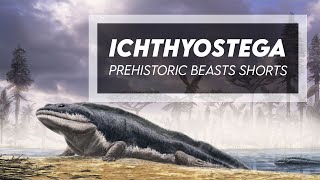 Ichthyostega  Devonian Stem Tetrapod [upl. by Naillij]