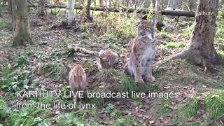 Karhutv live Video 1 [upl. by Heshum538]