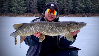 Tipup Fishing for Northern Pike Backcountry Lake [upl. by Wenda]