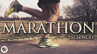 The Science of Marathon Running [upl. by Nemraciram271]