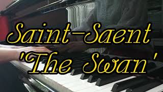 생상 백조 고도프스키 편곡 SaintSaens The Swan arrGodowsky [upl. by Pickett]