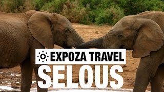 Selous Game Reserve Vacation Travel Video Guide [upl. by Helman]