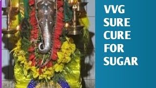 VVG  SURE CURE FOR SUGAR  Malayalam  Swamee surya [upl. by Nylcsoj]