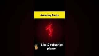 Fact beast 90 facts crazy mr Indian hacker [upl. by Pinzler]