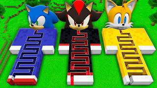 I found a SONIC TILES vs SHADOW SONIC vs SONIC TAPES in Minecraft  Whats INSIDE the SONIC MILES [upl. by Aliel]