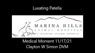 Luxating Patella [upl. by Tay]