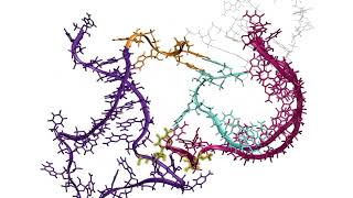 RNA folding in action [upl. by Akira]