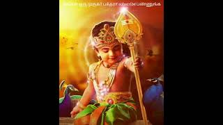 vel vel vel Muruga song vaangapakkam 🙏🙏 [upl. by Ilaw685]