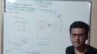 Construction Of Cdna Library  GenomicBioscience  Synthesis Of Cdna [upl. by Aiuqcaj]