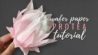 How to make wafer paper king protea Wafer Paper Friday Ep 8 [upl. by Sorilda77]