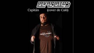 Lavaplatos Capitán cover Caló [upl. by Arbrab]