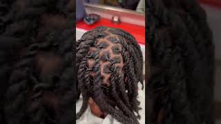 2 strand twist double twist style locshairstyles [upl. by Ellehsyt]