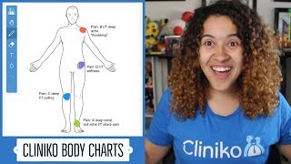 Cliniko  Body charts have been released [upl. by Normalie93]