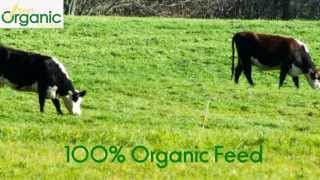 Organic Milk vs Regular Milk [upl. by Selhorst]