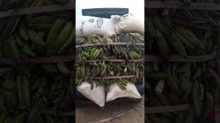 see how this food stuffs are transported to other states from abuja [upl. by Wanids]