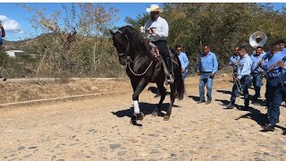 Cabalgata San Felipe de Híjar Jalisco 03 febrero 2024 [upl. by Iadrahs]