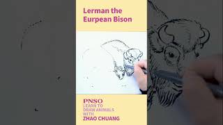 How to draw an European Bison  Learn to Draw Animals with ZHAO Chuang [upl. by Anerehs]