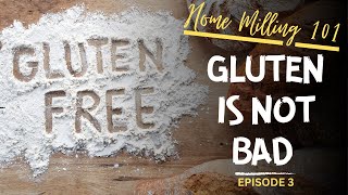 Should I Eat Gluten  Is GlutenFree Healthy  Home Milling 101 Episode 3 [upl. by Borreri]