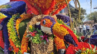 Bloemencorso 2023 Bollenstreek Holland [upl. by Truk]