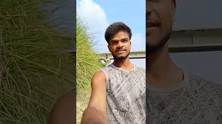 Mirchi ki kheti ☘️ trending minivlog shortsfeed shorts dailyvlog ytshorts villagelife vlog [upl. by Nuris]