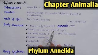 Phylum Annelida Characters And Classification Fully Explain In Hindi Urdu [upl. by Kono]