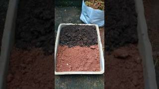 Soil mixsoil preparationsoilplantcare tipsfarmingshorts [upl. by Asirahc]