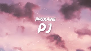 ppcocaine  PJ Lyrics  Bitch did you hear what the fuck I said Shake some ass ho [upl. by Hartnett393]