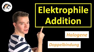 Elektrophile Addition Halogene amp Doppelbindung  Chemie Tutorial [upl. by Alessig454]